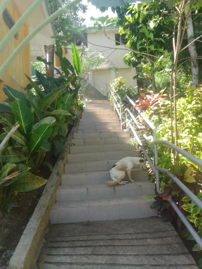 Woodland Inn El Nido Exterior foto
